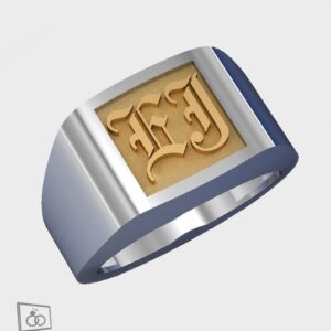 Signet Ring 925 Band w/ 18k Center